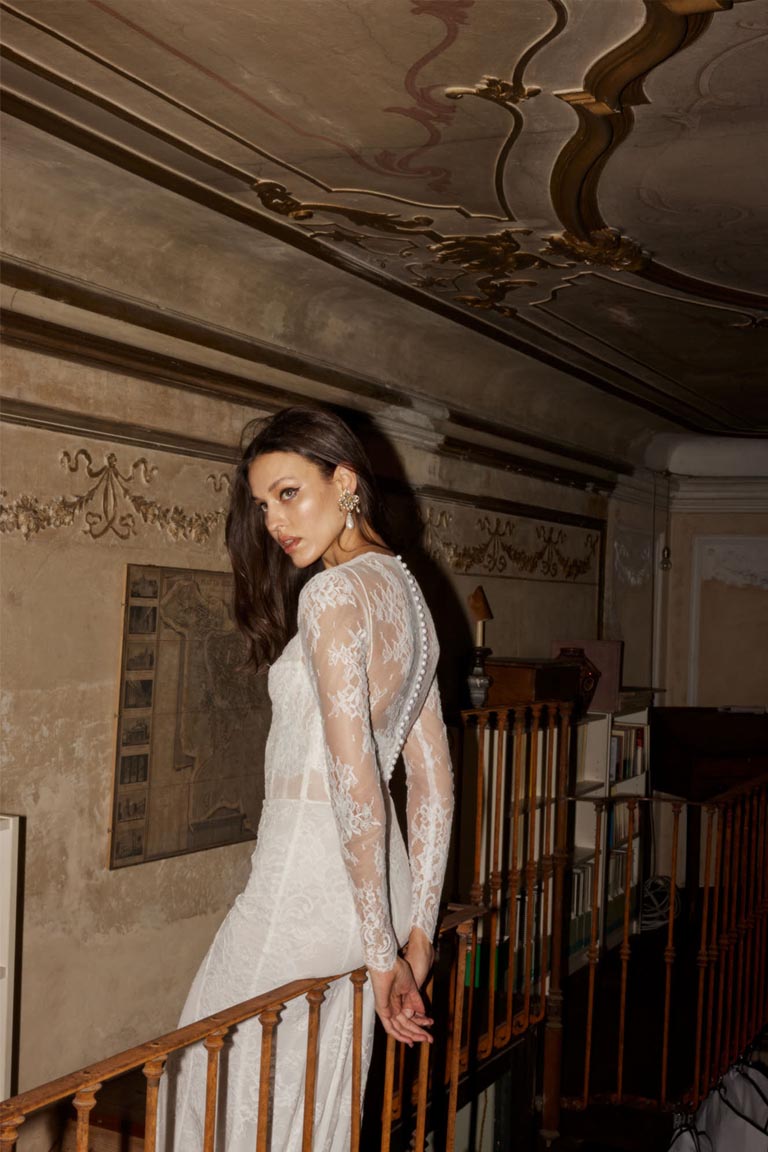 Stephania sleeves – תמונה 4